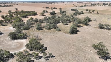 Property Lot 1, Womboota Rd, Womboota via Moama, NSW 2731, WOMBOOTA NSW 2731 IMAGE 0