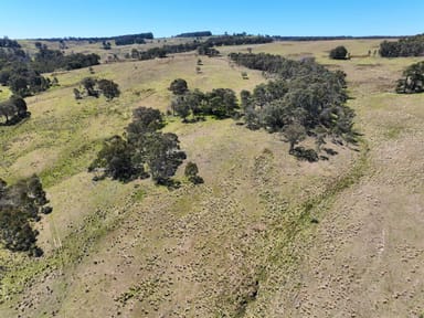 Property Lots 171, 248, 313, 316, Carrabungla Road, Roslyn, CROOKWELL NSW 2583 IMAGE 0