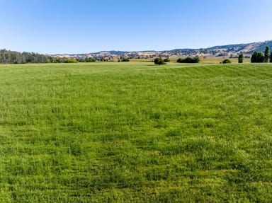 Property 2268 Westbrook Road, Oberne Creek NSW 2650 IMAGE 0