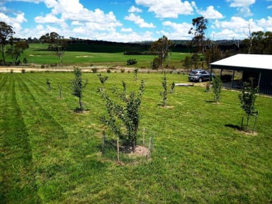 Property 418 MIHI Road, URALLA NSW 2358 IMAGE 0