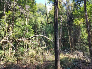 Property Lot 73 Gambubal Road, MOUNT COLLIERY QLD 4370 IMAGE 0