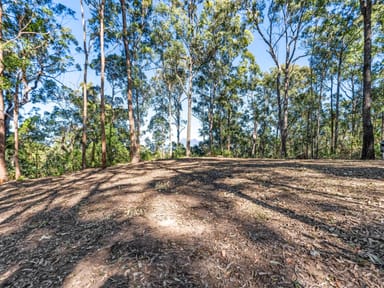 Property TAMROOKUM CREEK QLD 4285 IMAGE 0