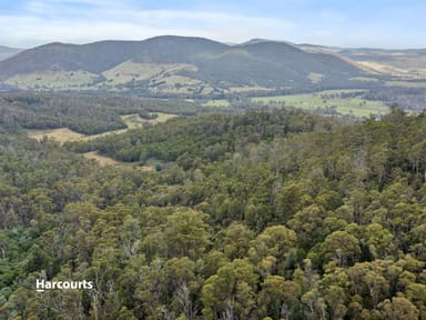 Property RA Off Williscroft Road, JUDBURY TAS 7109 IMAGE 0