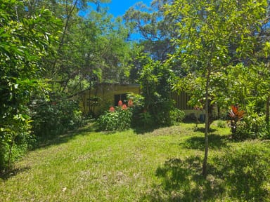 Property 6 Byers Creek Road, ROSSVILLE QLD 4895 IMAGE 0