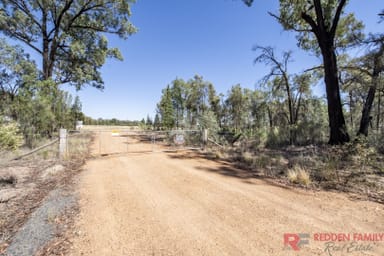 Property 33R Lagoon Creek Road, MINORE NSW 2830 IMAGE 0