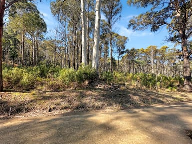 Property Lot 5 Gardiners Creek Road, ST MARYS TAS 7215 IMAGE 0