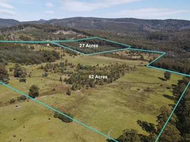 Property Lot 1 Costains Road, GEEVESTON TAS 7116 IMAGE 0