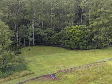 Property 701 Moleton Road, Lowanna NSW 2450 IMAGE 0