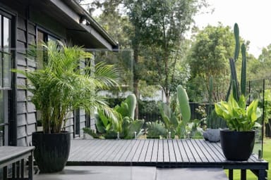 Property 12 Cochrane Street, Broke NSW 2330 IMAGE 0