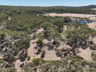 Property Lot 1 Carapooee Road, St Arnaud East VIC 3477 IMAGE 0