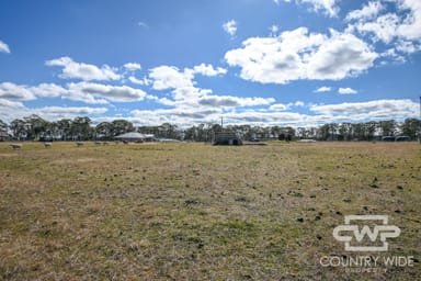 Property 5 Martin Drive, BLACK MOUNTAIN NSW 2365 IMAGE 0