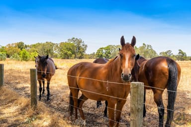 Property 24, 154 Utley Road, Serpentine WA 6125 IMAGE 0