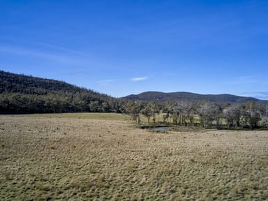 Property Lot 1, 233 Ferndale Road, BICHENO TAS 7215 IMAGE 0