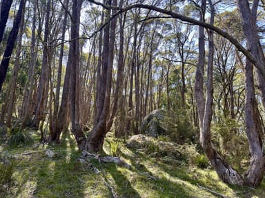 Property 124 Gumms Road, HAROLDS CROSS NSW 2622 IMAGE 0