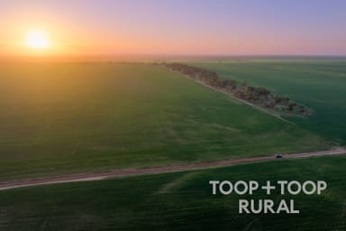 Property 735 Koch Road (via Loxton), Taldra SA 5311 IMAGE 0