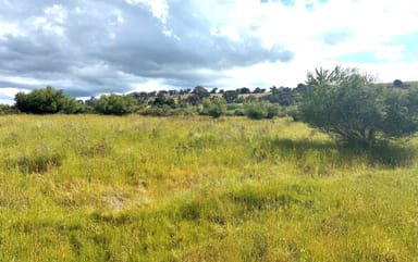 Property 1190 Mansfield Woods Point Road, PIRIES VIC 3723 IMAGE 0