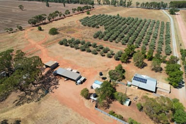 Property 9 The Mcgrane Way, TULLAMORE NSW 2874 IMAGE 0