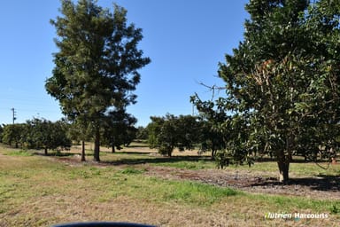 Property Lot 1 Huxley Road, North Isis QLD 4660 IMAGE 0