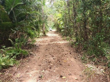 Property Lot 81 Cape Tribulation Road, Diwan QLD 4873 IMAGE 0