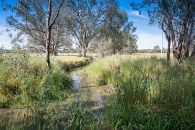 Property CA29A Baddaginnie-Benalla Road, Baddaginnie VIC 3670 IMAGE 0