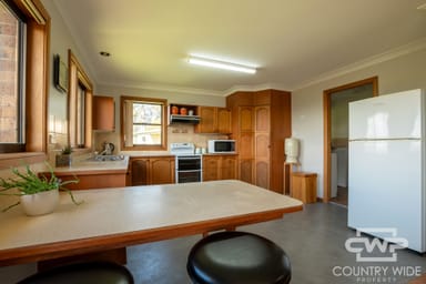 Property 286 Meade Street, GLEN INNES NSW 2370 IMAGE 0