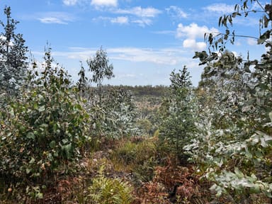 Property Lot 1 Dilgers Hill Road, MATHINNA TAS 7214 IMAGE 0