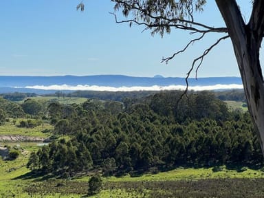 Property 204 Wylie Creek Road, WYLIE CREEK NSW 2372 IMAGE 0