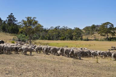 Property Green Hills Road Green Hills Road, Triabunna TAS 7190 IMAGE 0