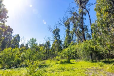 Property Lot 4 Braidwood Road, Sassafras NSW 2622 IMAGE 0