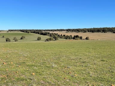 Property 201 Mahomet Road, DANDARAGAN WA 6507 IMAGE 0