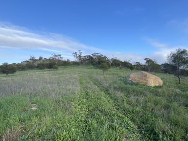 Property 121, Whitfield Rd, DUMBARTON WA 6566 IMAGE 0