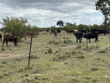 Property 1369 Yagaburne-Boondandilla Road, MOONIE QLD 4406 IMAGE 0