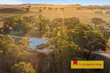 Property 111 Adams Lead Road, Gulgong NSW 2852 IMAGE 0