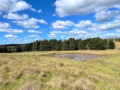 Property Lot 15 Losebys Road, Marulan NSW 2579 IMAGE 0