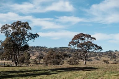 Property 175 Woodbury Drive, Sutton NSW 2620 IMAGE 0