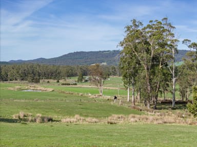 Property 234 Winkleigh Road, Exeter TAS 7275 IMAGE 0