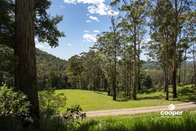 Property Lot 1 Monkey Mountain Road, Termeil NSW 2539 IMAGE 0