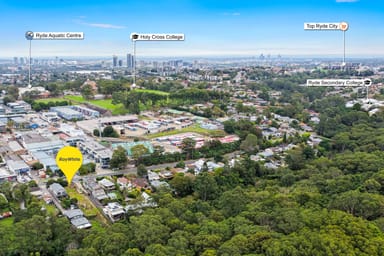 Property 56 Higginbotham Road, Gladesville NSW 2111 IMAGE 0