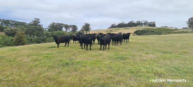 Property 2506 Lower Denmark Road, Kronkup WA 6330 IMAGE 0