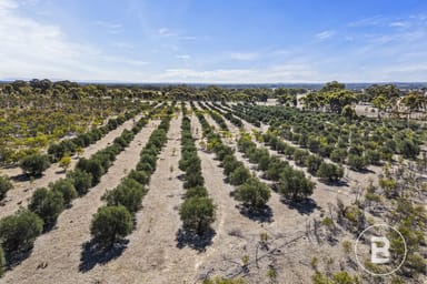 Property 3320 Ararat - St Arnaud Road, Navarre VIC 3384 IMAGE 0