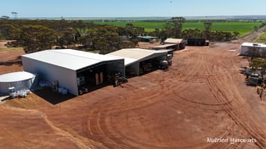 Property 5670 Soldiers Road, Narembeen WA 6369 IMAGE 0
