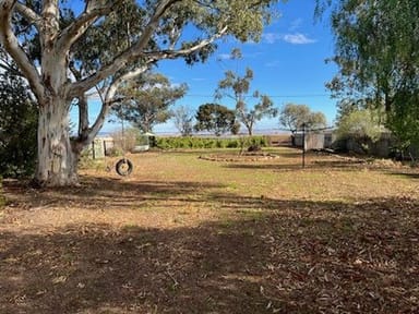 Property Lot 847 William Street, Brinkworth SA 5464 IMAGE 0