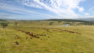 Property 'Dunvegan', 161 Nine Mile Road, DUNDEE NSW 2370 IMAGE 0