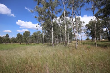 Property The Horseshoe Radio Station Road, Eidsvold QLD 4627 IMAGE 0