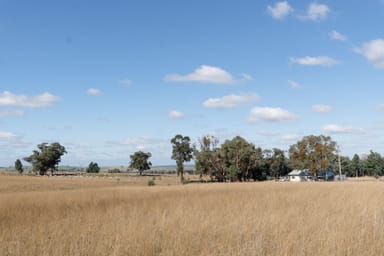 Property "Glen Alvin" & "Lockyer", ELONG ELONG NSW 2831 IMAGE 0