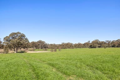 Property 189 Siddles Road, Redesdale VIC 3444 IMAGE 0