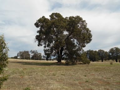 Property Lot 13 Charlton Road, WANDERING WA 6308 IMAGE 0