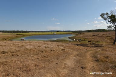 Property 40 Mandersons Rd, Mcilwraith QLD 4671 IMAGE 0