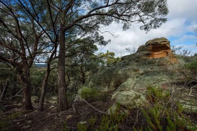 Property 962 Blue Springs Road, Gulgong NSW 2852 IMAGE 0