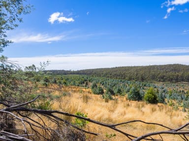 Property 160 Sand Marsh Road, WOODSDALE TAS 7120 IMAGE 0